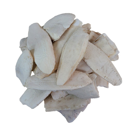 Cuttlebone Bulk (0.5/1 Lb)
