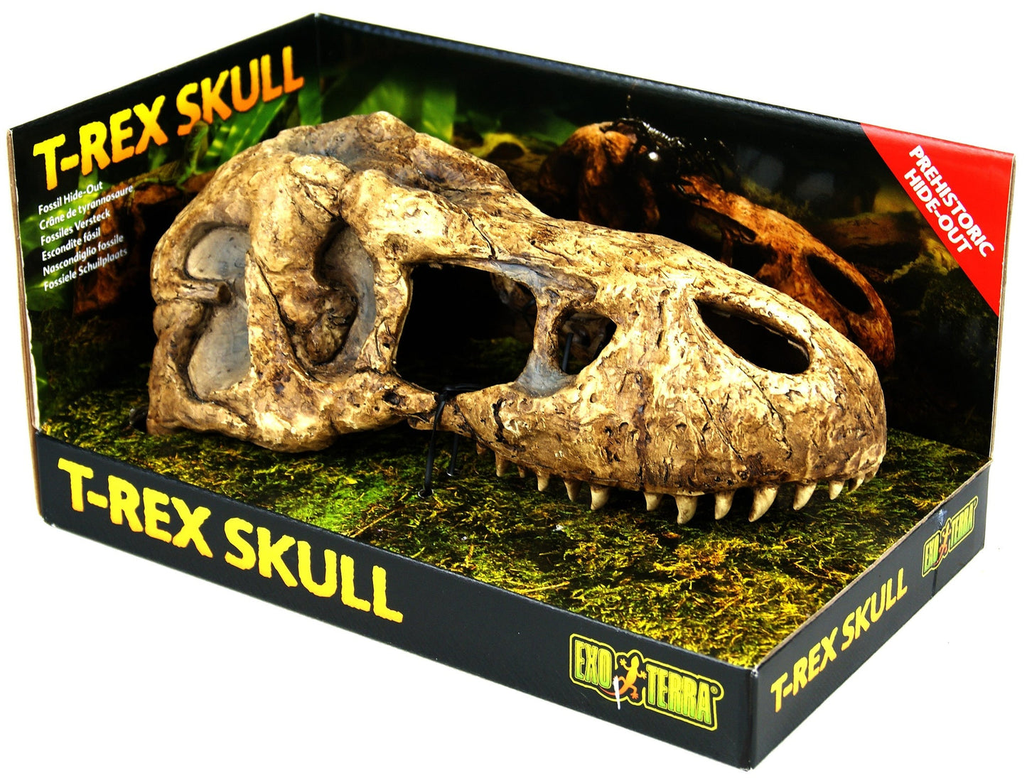Exo Terra T-Rex Skull