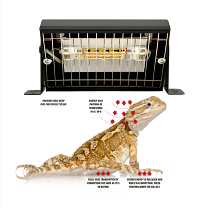 Gold Infrared Unit 200W/400W