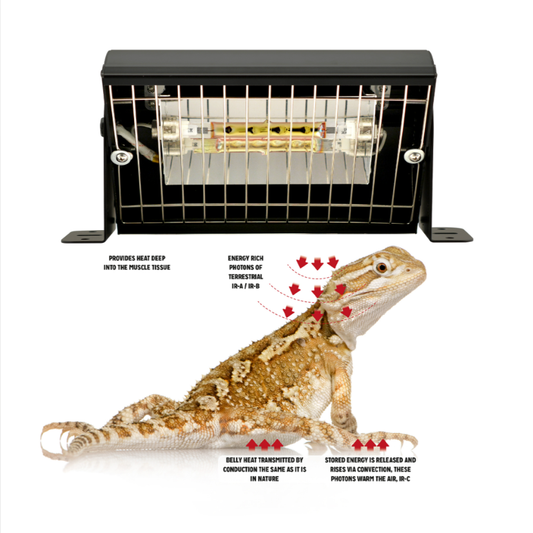 Gold Infrared Unit 200W/400W