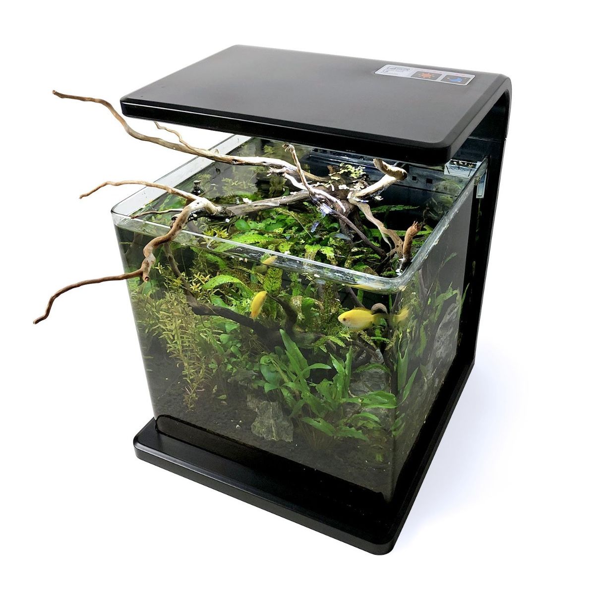 SR AQUARISTIK DECO TANK 15  4 GAL 15L