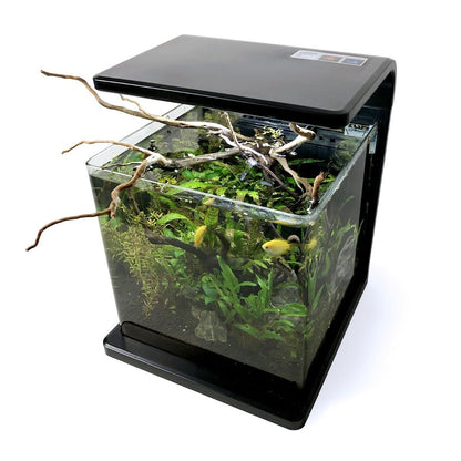 SR AQUARISTIK DECO TANK 15  4 GAL 15L