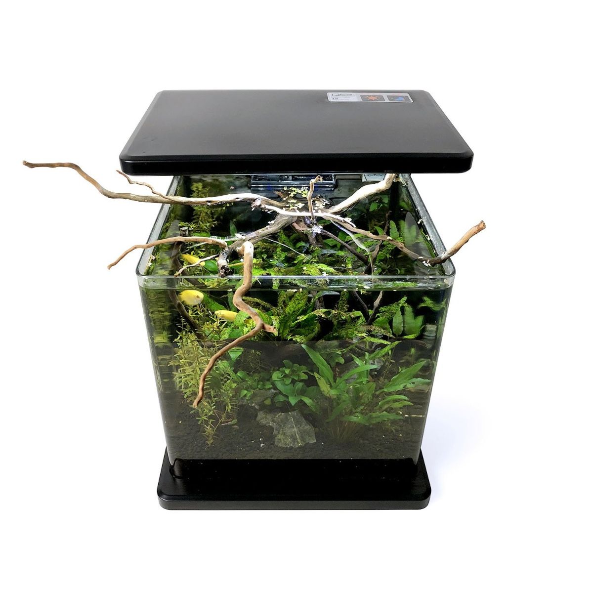 SR AQUARISTIK DECO TANK 15  4 GAL 15L