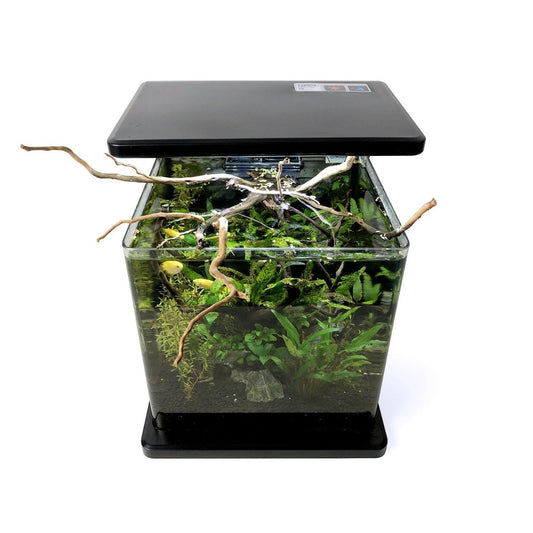 SR AQUARISTIK DECO TANK 15  4 GAL 15L