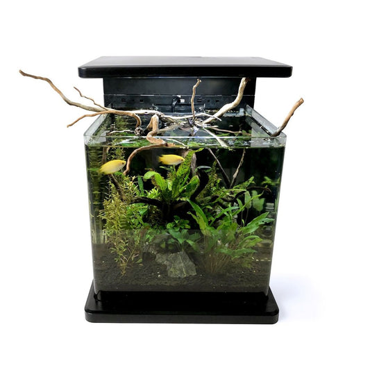 SR AQUARISTIK DECO TANK 15  4 GAL 15L