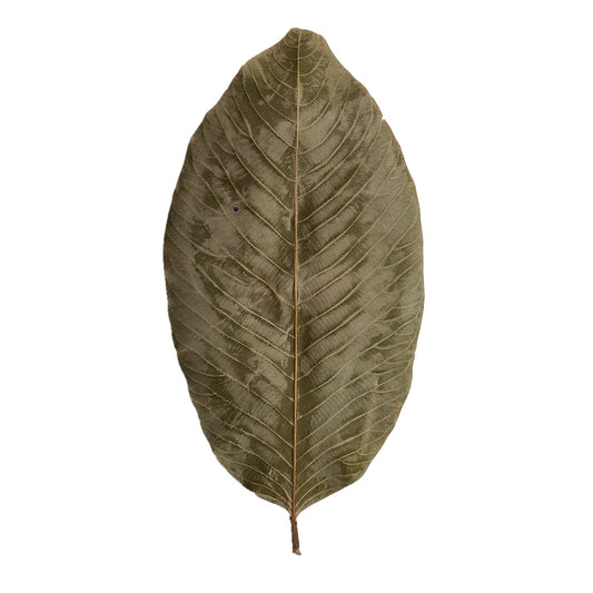 DRIED KETAKELA MIXED SIZE LEAVES