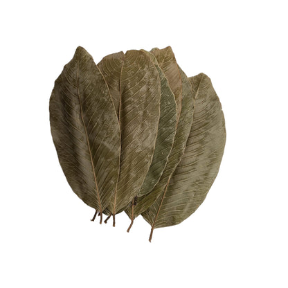 DRIED KETAKELA MIXED SIZE LEAVES