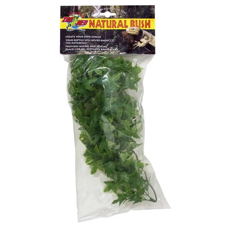 Congo Ivy Small - Zoo Med