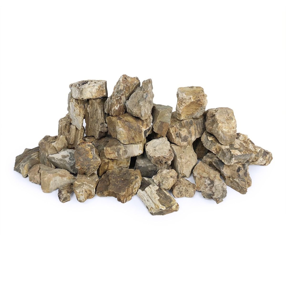 SR Aquaristik Petrified Wood Stone (44 lbs Box)