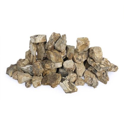 SR Aquaristik Petrified Wood Stone (44 lbs Box)