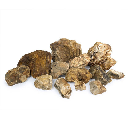 SR Aquaristik Petrified Wood Stone (44 lbs Box)