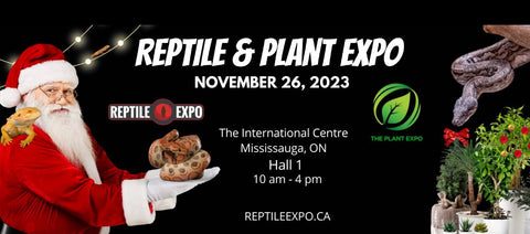 Toronto Reptile Expo - Nov. 26, 2023