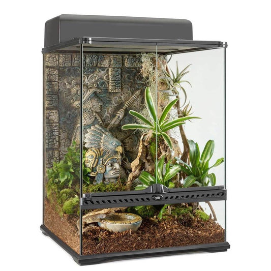 Exo Terra Small Tall Glass Terrarium (18" x 18" x 24")