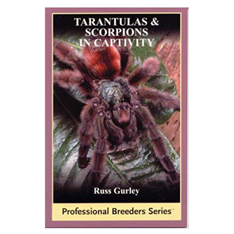Tarantulas And Scorpions in Captivity (Professional Breeders)